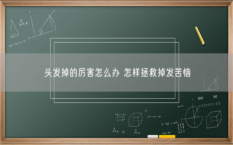 头发掉的厉害怎么办 怎样拯救掉发苦恼(图1) 头发掉的厉害怎么办 怎样拯救掉发苦恼(图1)