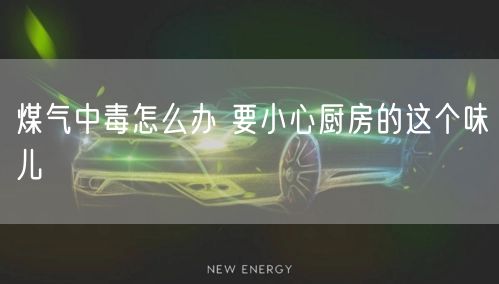 煤气中毒怎么办 要小心厨房的这个味儿(图1) 煤气中毒怎么办 要小心厨房的这个味儿(图1)