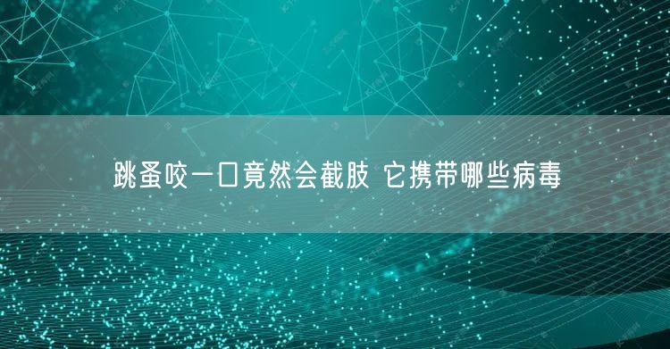 跳蚤咬一口竟然会截肢 它携带哪些病毒(图1) 跳蚤咬一口竟然会截肢 它携带哪些病毒(图1)