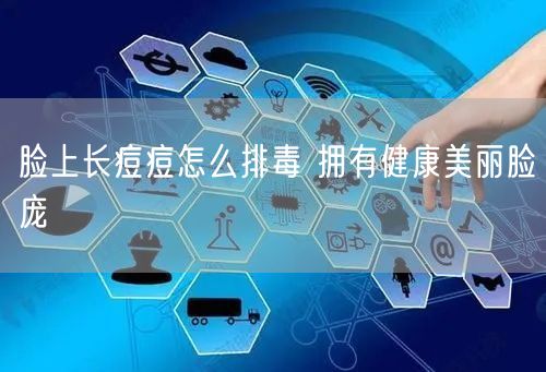脸上长痘痘怎么排毒 拥有健康美丽脸庞