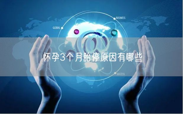 怀孕3个月胎停原因有哪些