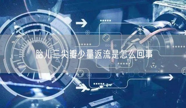 胎儿三尖瓣少量返流是怎么回事