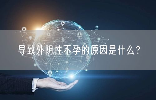 导致外阴性不孕的原因是什么？