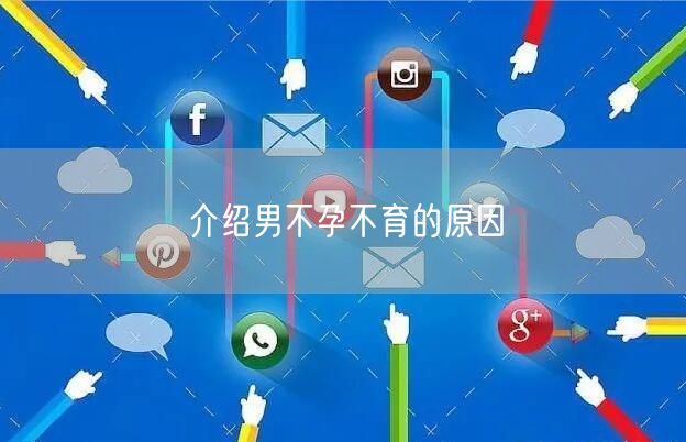 介绍男不孕不育的原因